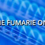 Fluetube canne fumarie online