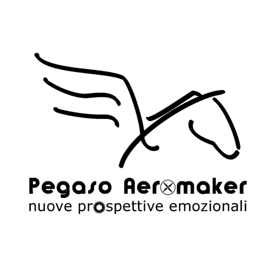 Pegaso Aeromaker di Gianluca Primon