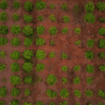Fasi-agricole-riprese-drone.png